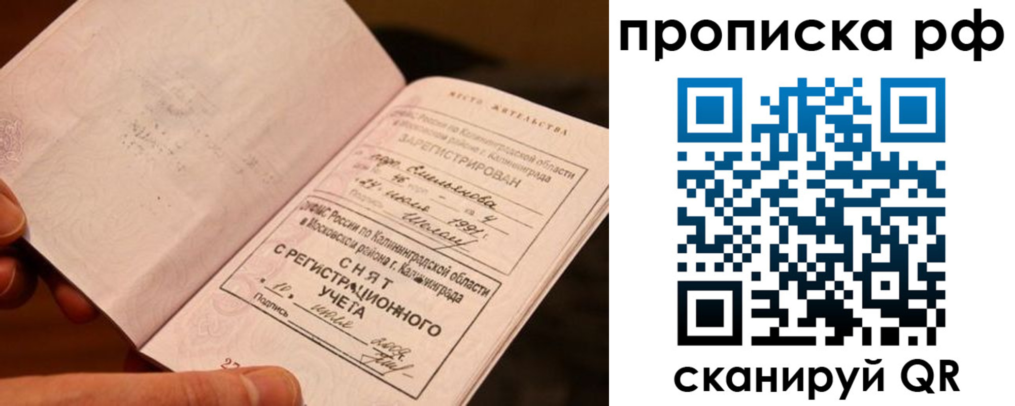 прописка гарантия в Шумихе